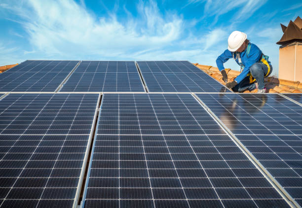 Best Roof Moss and Algae Removal  in Brooksi, DE